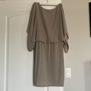 Semi-formal Shimmer Dress